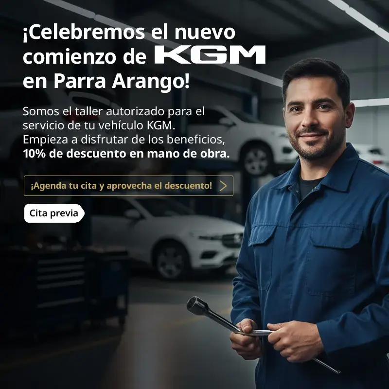 Taller SsangYong, Citroën y Suzuki